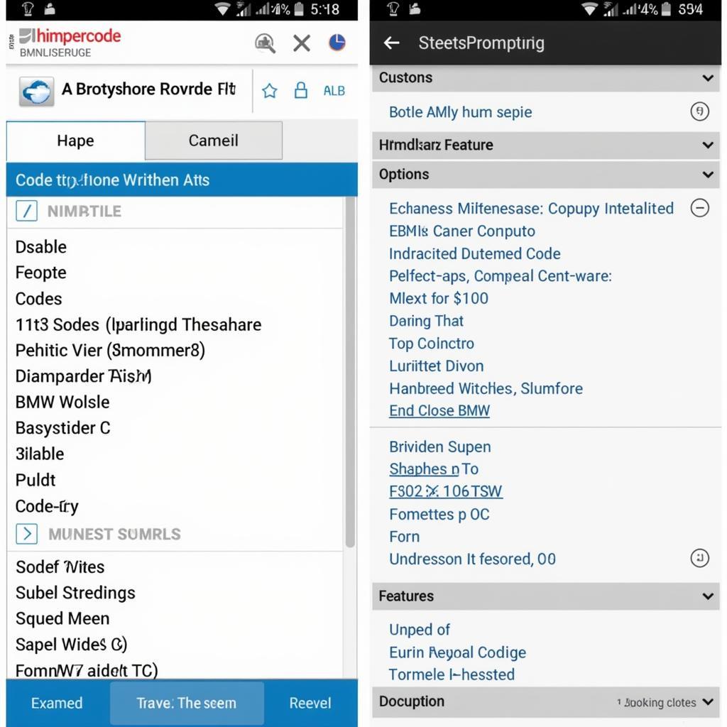 Bimmercode app displaying coding options