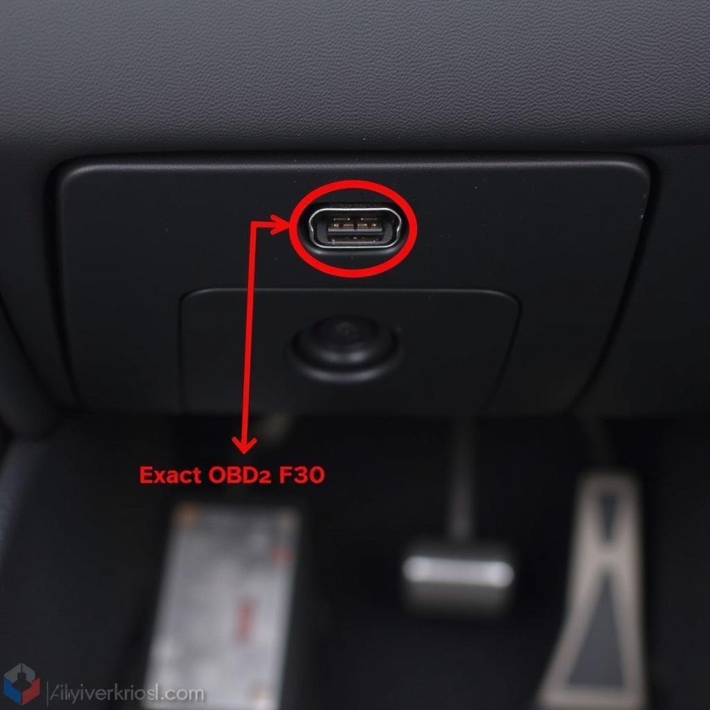 BMW F30 OBD2 Port Location