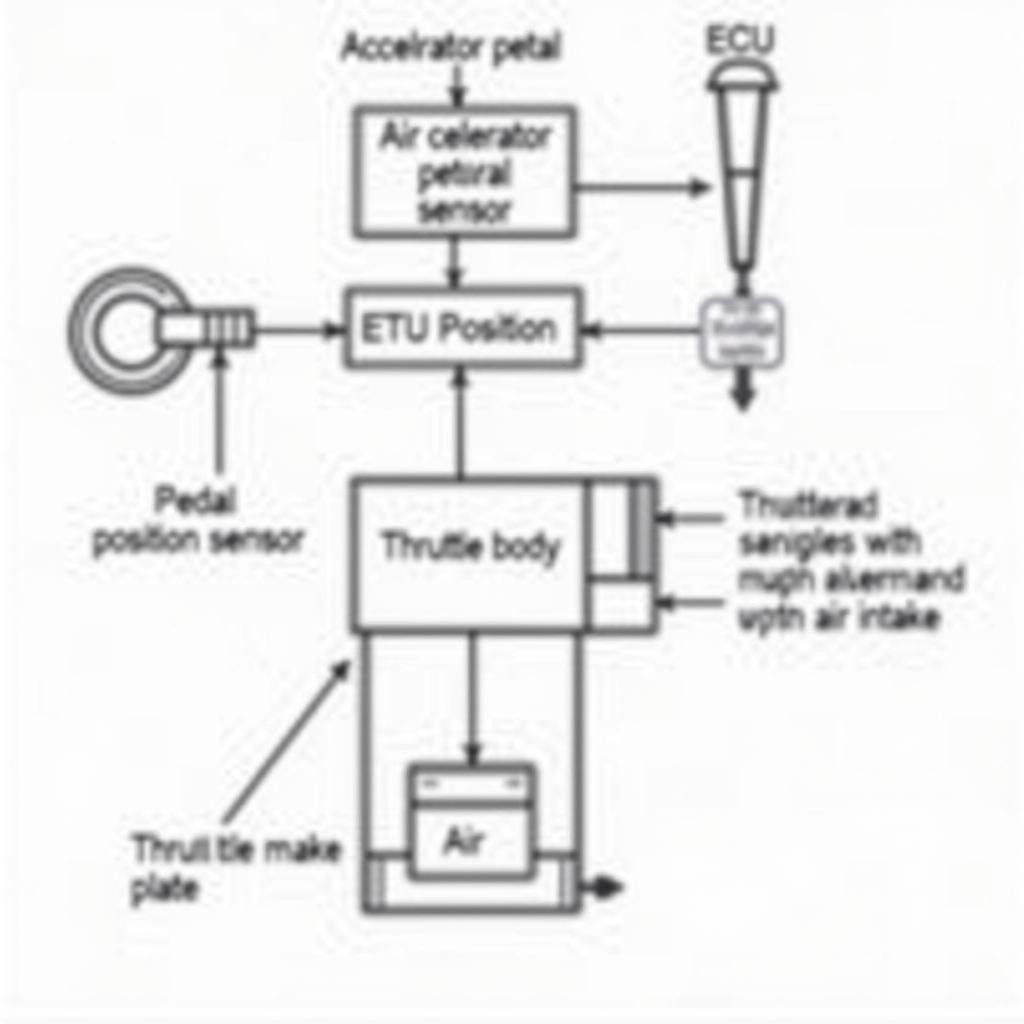 Diagram of Electronic Throttle Control System