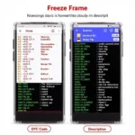 Freeze Frame Data Displayed on OBD2 Scanner