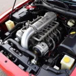 MR2 K20 Engine Bay