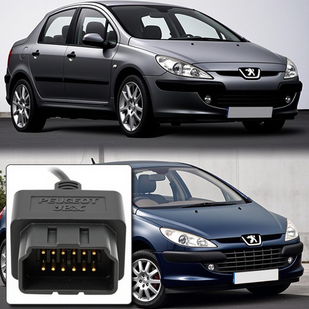 Peugeot 307 OBD2 Port Location