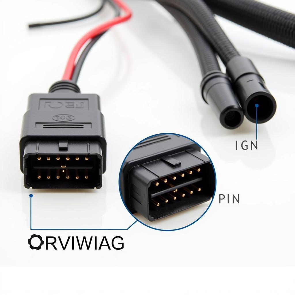 Rywire B-Series Harness OBD2 Overview