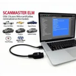 ScanMaster-ELM Interface