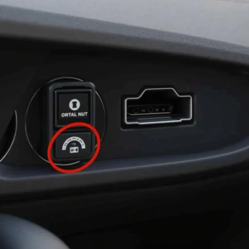 Tesla OBD2 Port Location