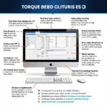 Torque OBD2 Software Interface