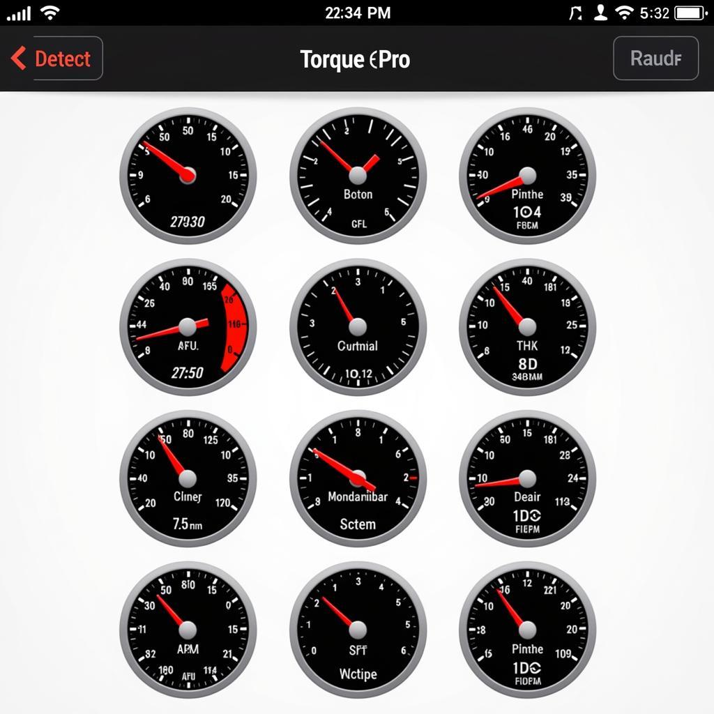 Torque Pro App Interface