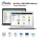 VINT OBD2 software interface