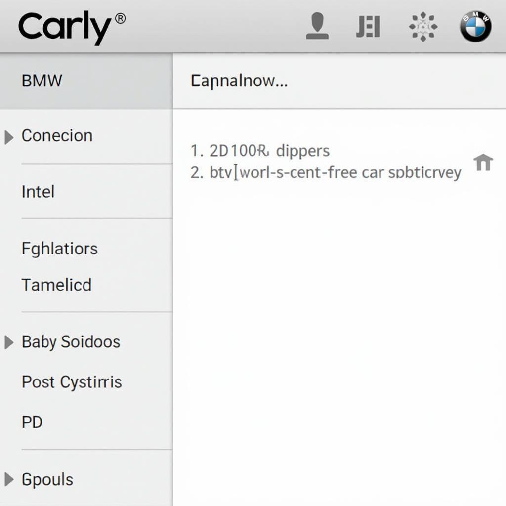 Carly Coding Options for BMW