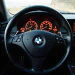 BMW E46 Dashboard During OBD2 Drive Cycle