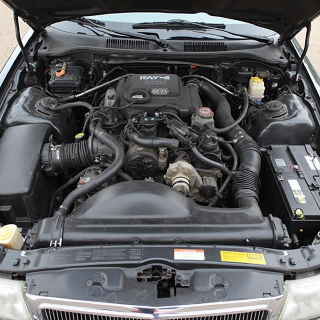 Crown Victoria Engine Bay After OBD2 Conversion