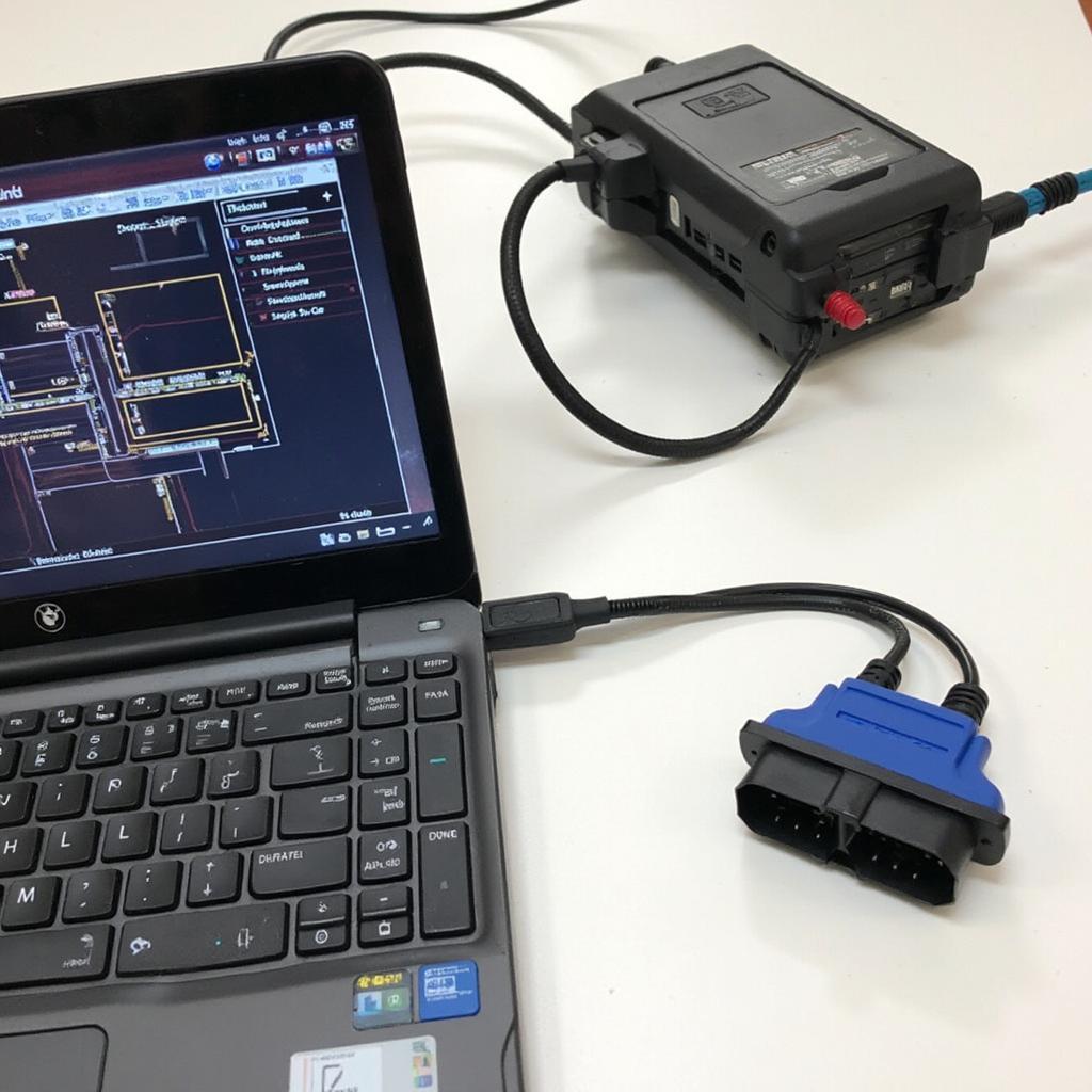 E36 OBD2 EWS Delete Software Interface