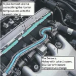 ECT Sensor Location and Function in a Car Engine