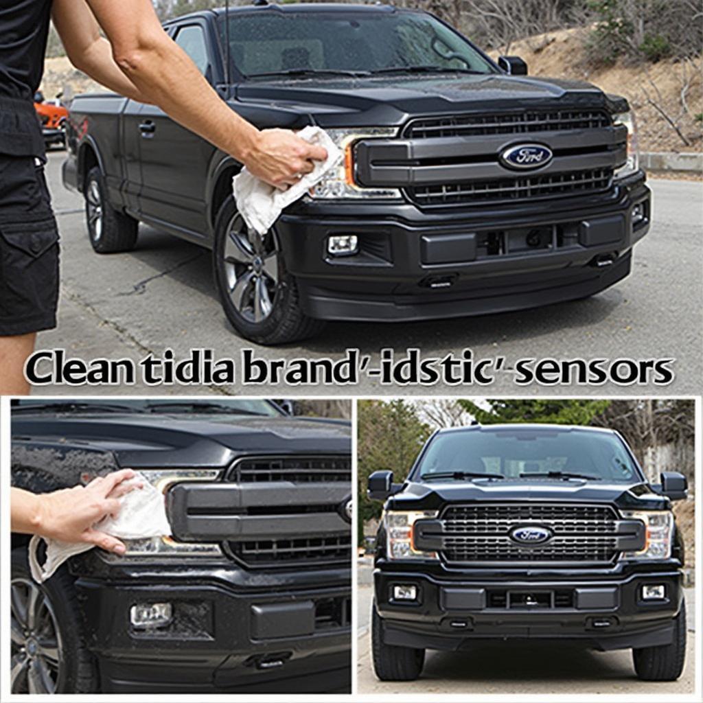 Cleaning the Park Assist Sensors on an F150