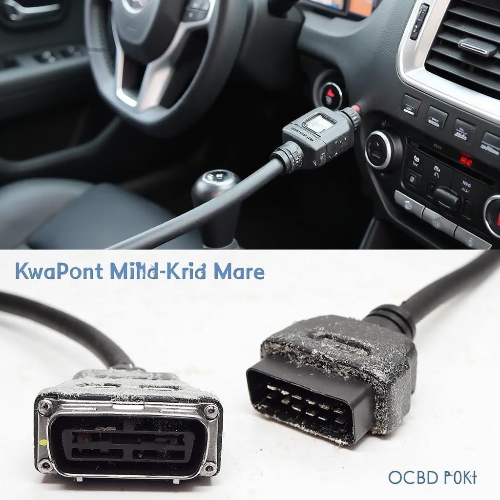 High-Quality VCDS Cable and Clean OBD2 Port