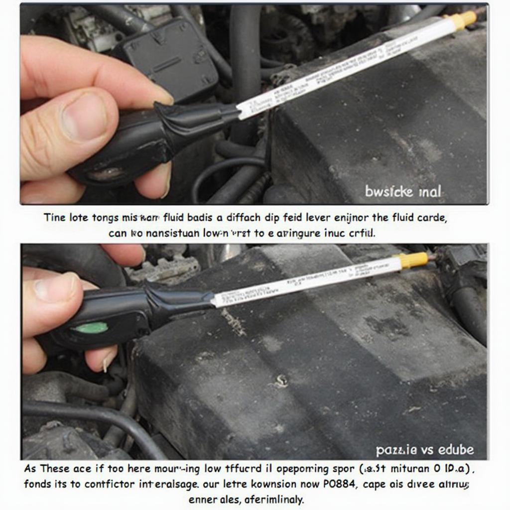 Low Transmission Fluid Check