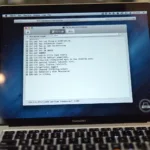 OBD2 Diagnostic Trouble Codes on a Mac Screen