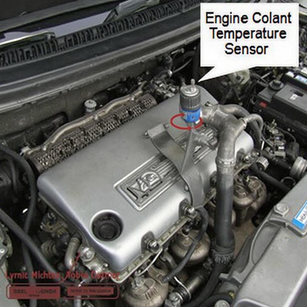 Honda Civic Engine Coolant Temperature Sensor and Thermostat Location