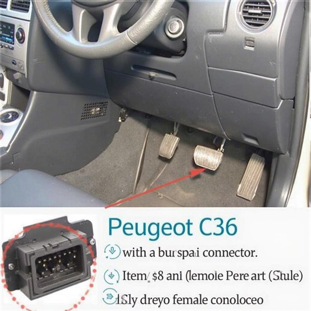 Peugeot 206 OBD2 Port Location