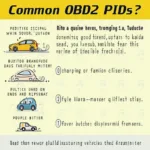 Smog Test OBD2 PID Examples