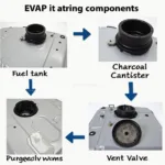 2015 Toyota Highlander EVAP System Components