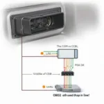 CCM OBD2 Connection Diagram