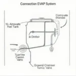 EVAP System Diagram