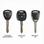 Different Ford Fusion Key Types