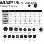 Different Types of Haltech OBD2 Gauges