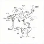 Honda Prelude EGR System Diagram