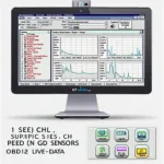 Live Data OBD2 Scanner Display