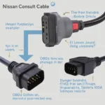 Connecting Nissan Consult to OBD2 Adapter