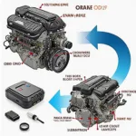 OBD0 to OBD2 Engine Swap Process