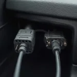 OBD1 and OBD2 Connector Comparison in a BMW