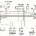 Vehicle Wiring Diagram Highlighting Network Connections