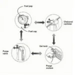 OBD2 Code P0440 EVAP System Diagram