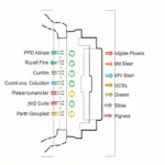 OBD2 Connector Pinout Diagram with Pin Functions Labeled