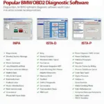 Popular BMW OBD2 Diagnostic Software: INPA, ISTA, and More