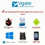 Vgate OBD2 Software Download Options