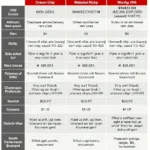 VR6 OBD2 Custom Chip Options Comparison