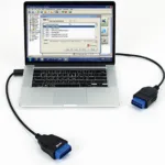 Connecting an OBD2 Scanner to a Laptop via USB Cable