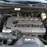 Crankshaft Position Sensor Location